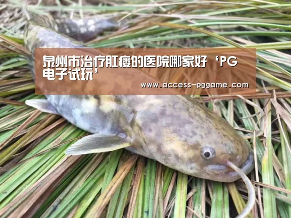 泉州市治疗肛瘘的医院哪家好‘PG电子试玩’(图2) PG Soft