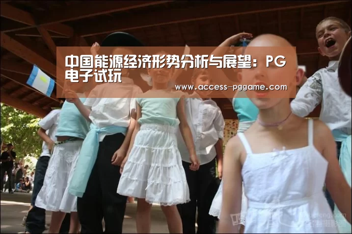 中国能源经济形势分析与展望:PG电子试玩(图3) pg电子