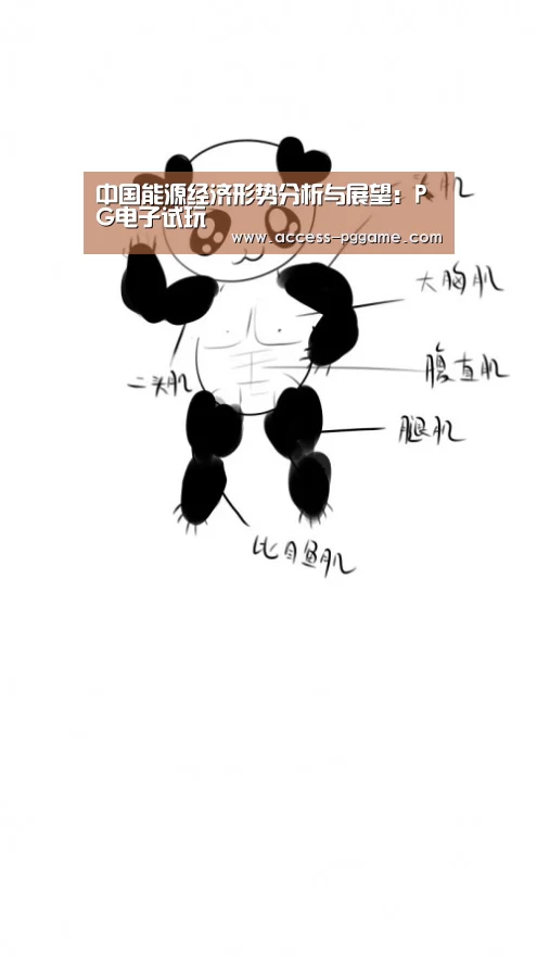 中国能源经济形势分析与展望:PG电子试玩(图2) PG电子试玩