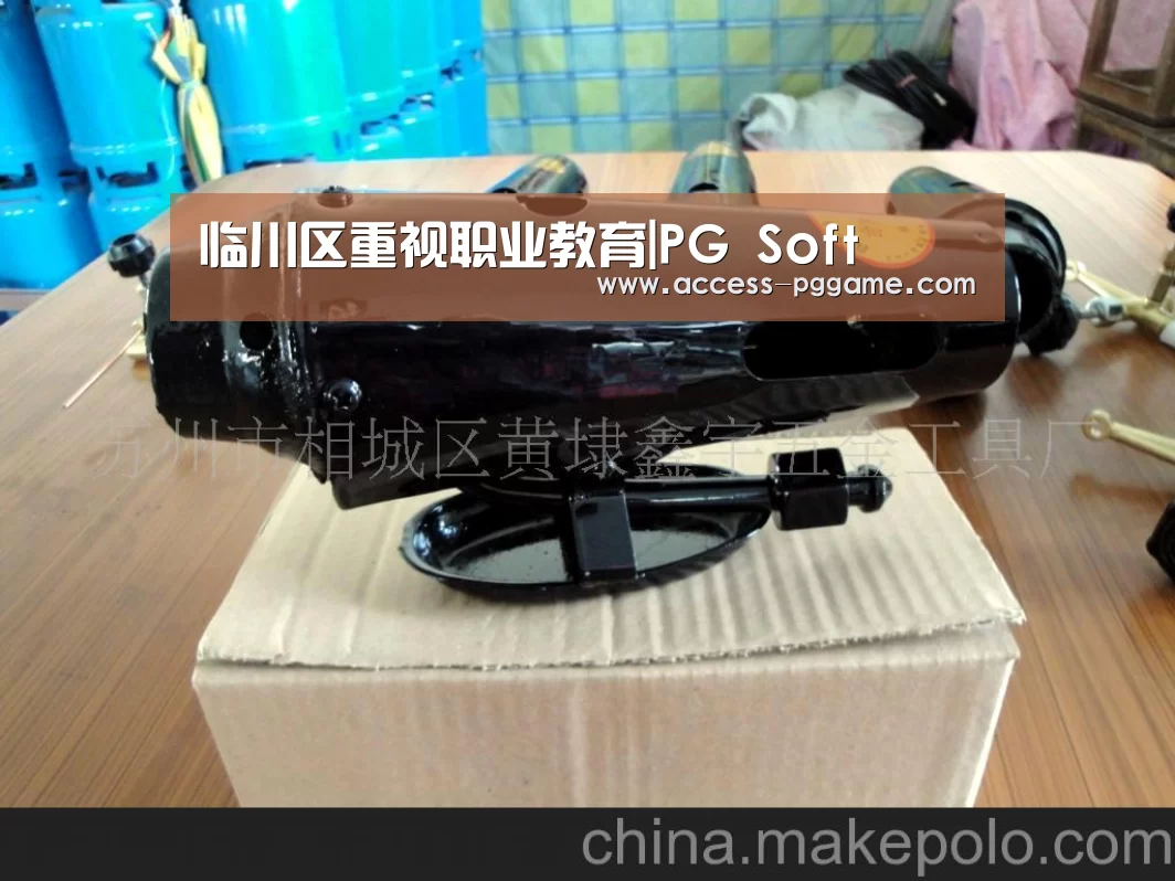 临川区重视职业教育|PG Soft(图1) PG Soft