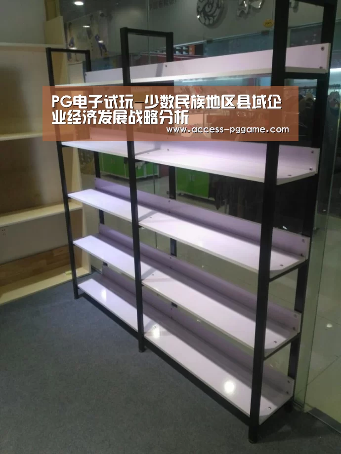 PG电子试玩-少数民族地区县域企业经济发展战略分析(图2) PG Soft