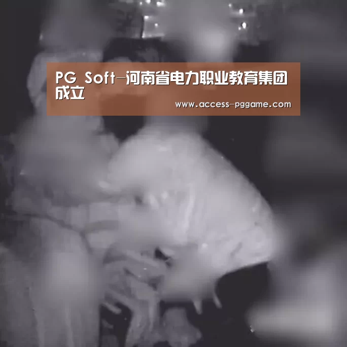 PG Soft-河南省电力职业教育集团成立(图1) pg电子游戏