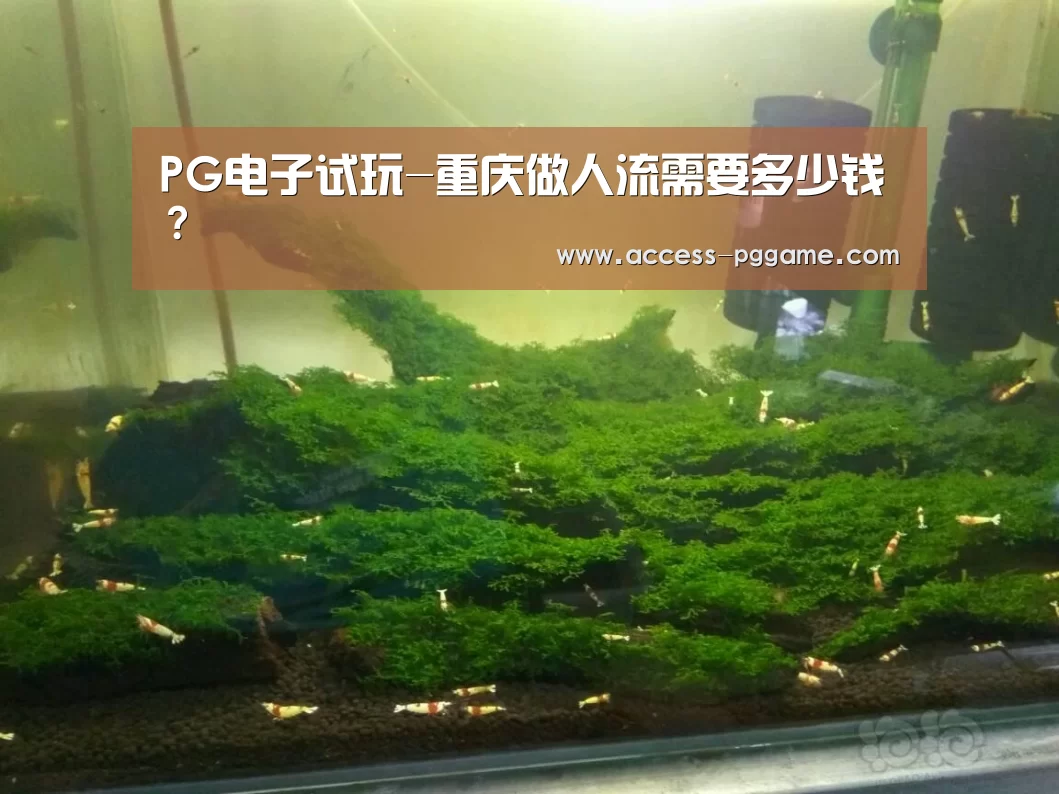 PG电子试玩-重庆做人流需要多少钱?(图1) PG Soft