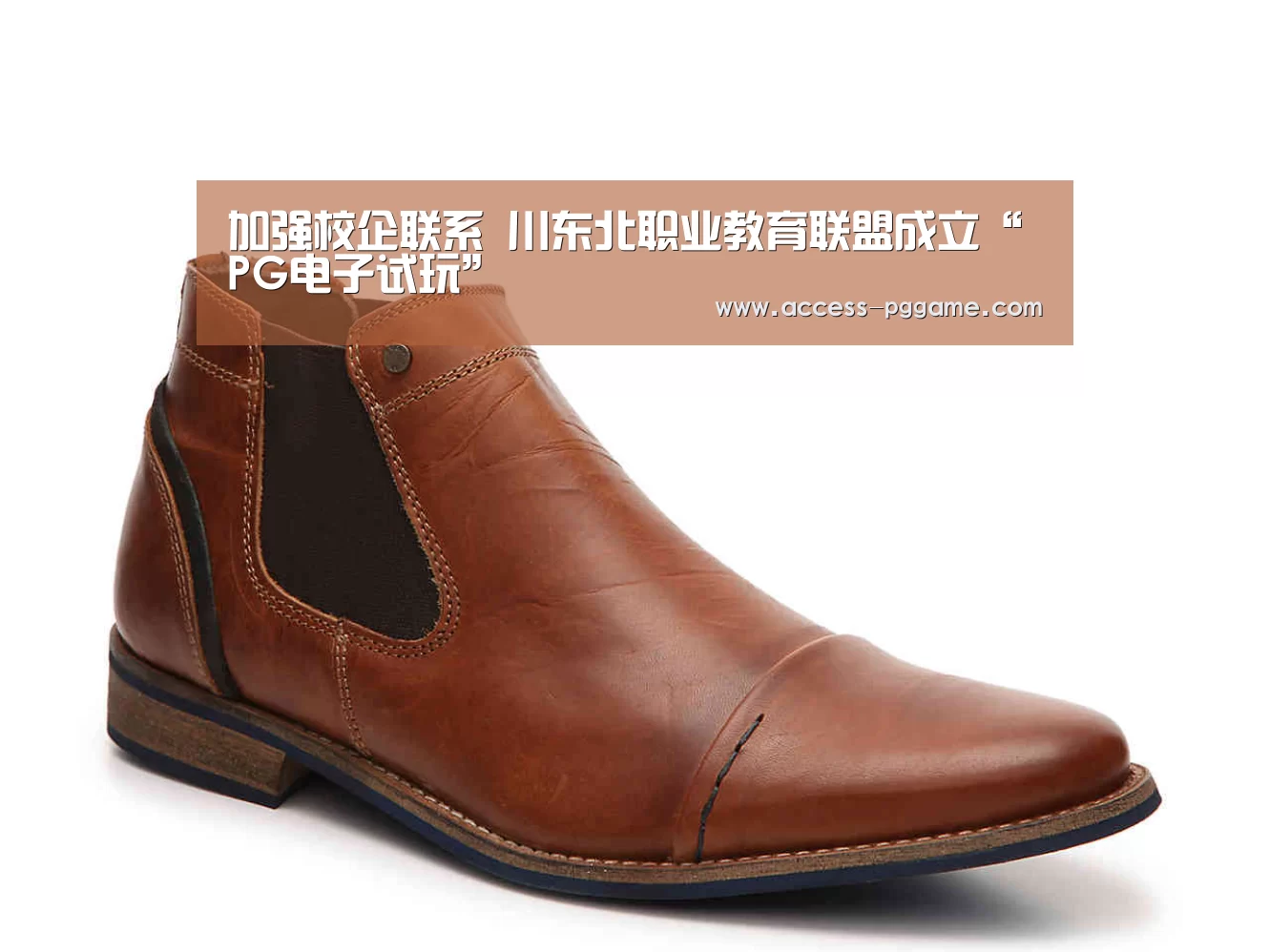加强校企联系 川东北职业教育联盟成立“PG电子试玩”(图2) PG电子试玩