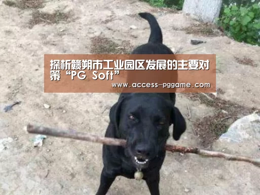 探析赣朔市工业园区发展的主要对策“PG Soft”(图3) pg电子游戏