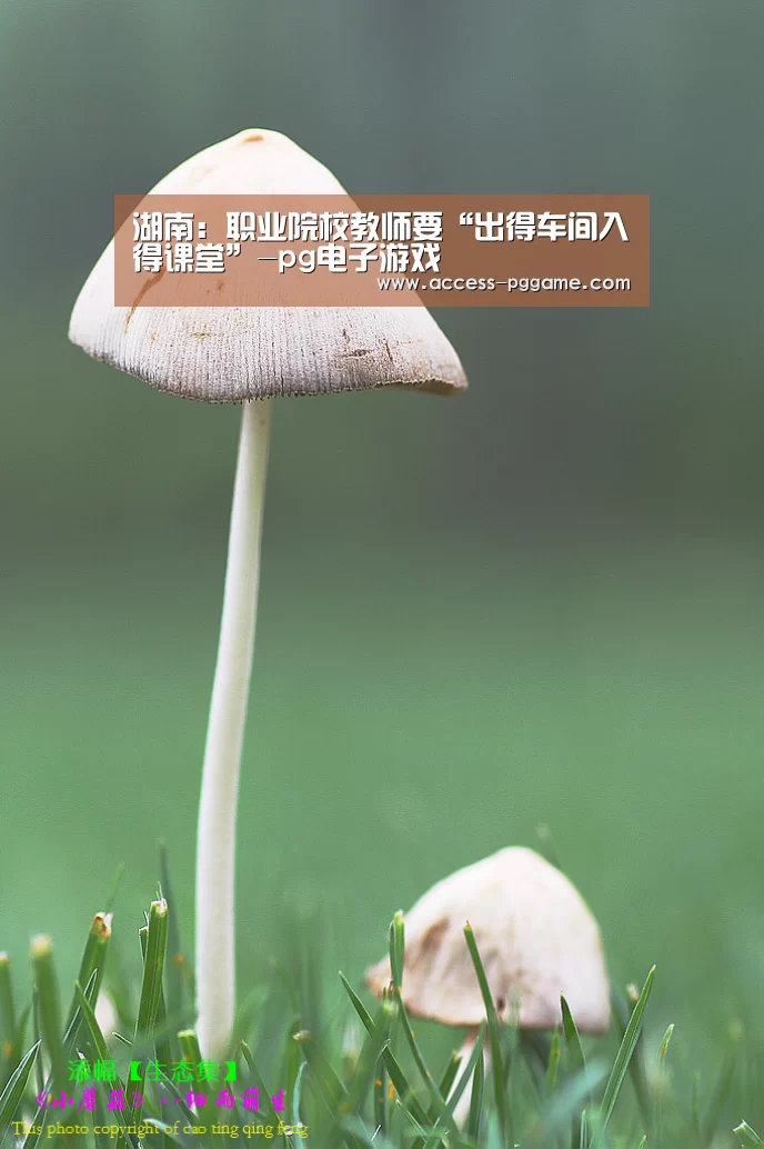 湖南:职业院校教师要“出得车间入得课堂”-pg电子游戏(图4) PG电子试玩